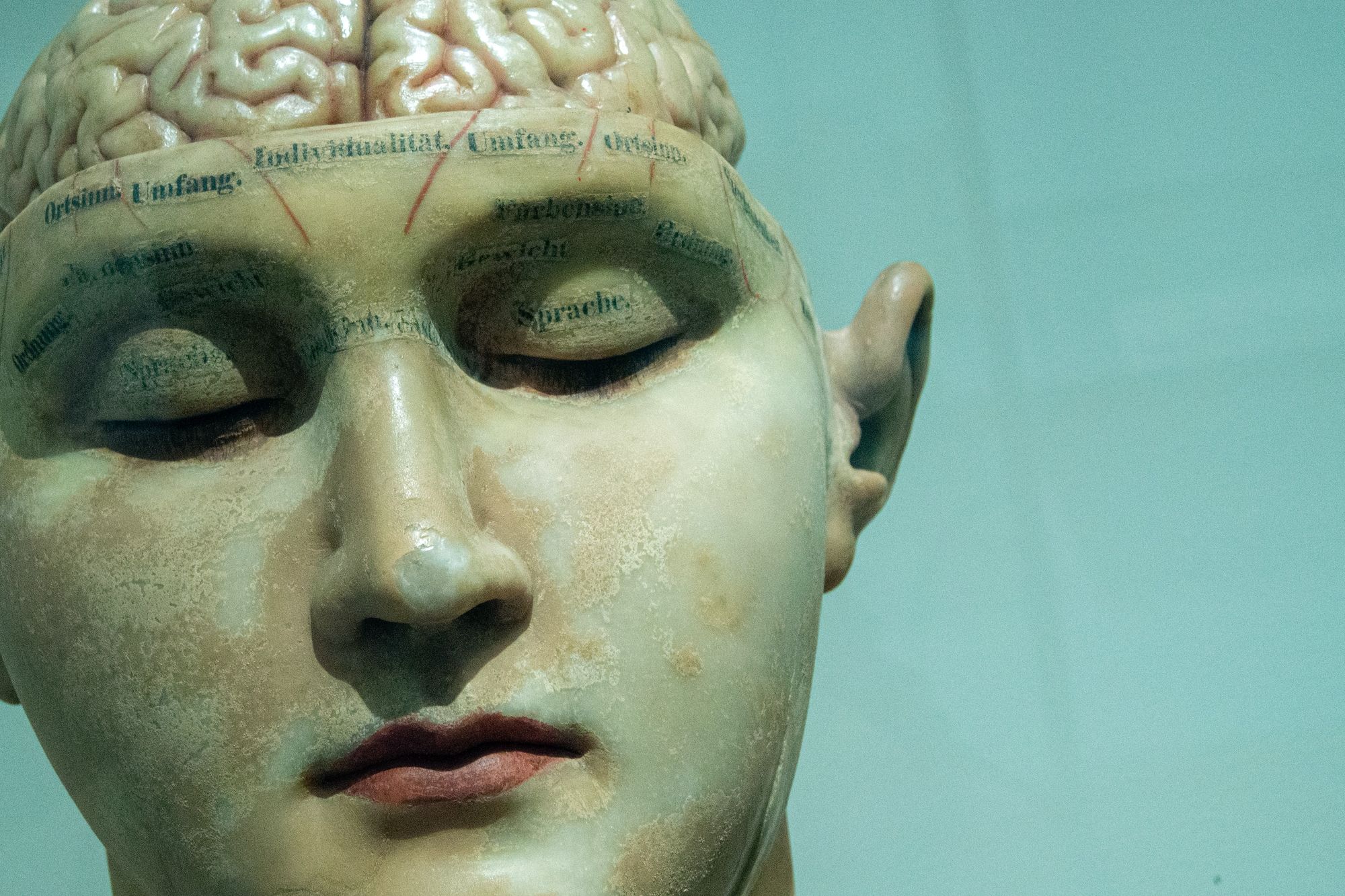 What does ‘psychedelic’ actually mean?