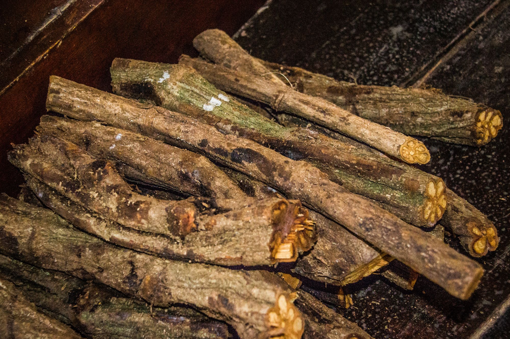 Banisteriopsis caapi