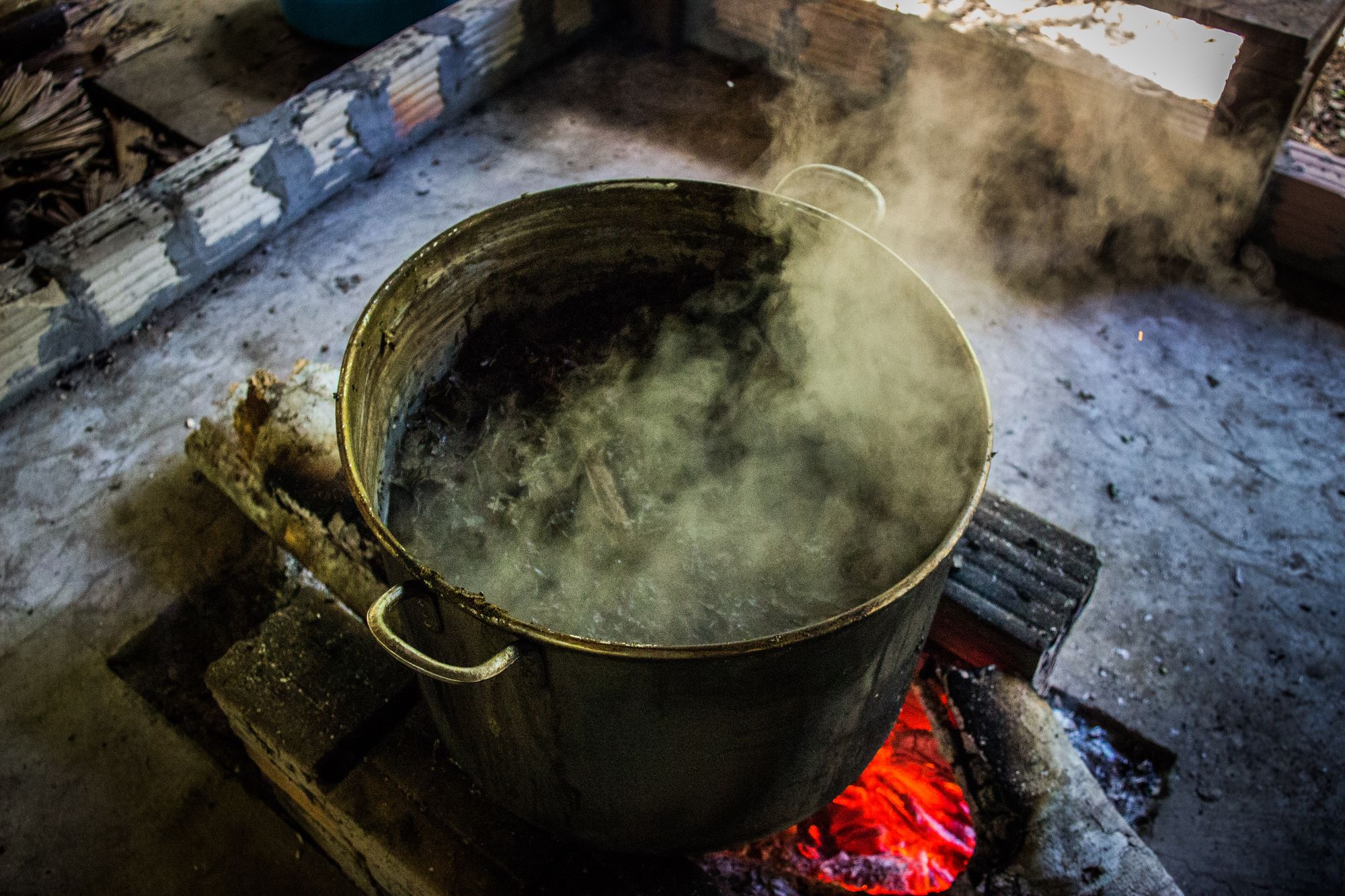 On ayahuasca: ‘It was the first time in my life I’ve ever felt self-love’