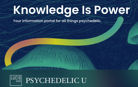 Lucid News Psychedelic U banner with logo and graphic of psilocybin mushroom